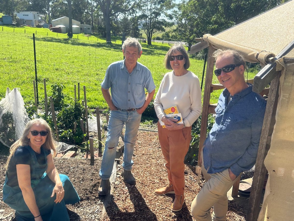 four people in a vegetable garden