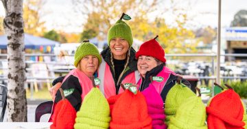 Knitters craft deliciously cozy apple beanies for Batlow's festival of cider