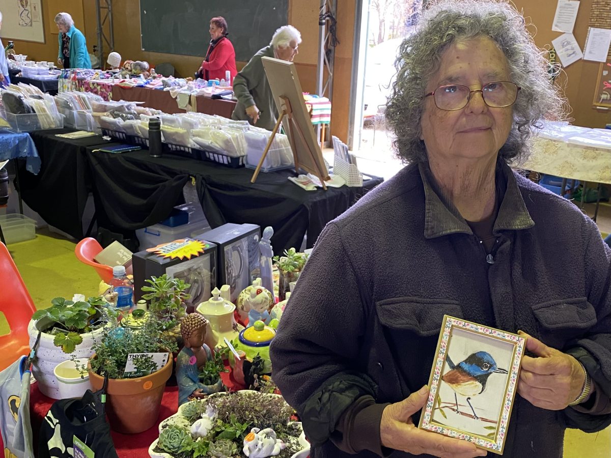 Helen Strano with one of her smaller paintings, and novelties on offer at the Markets on Bourke. Helen also sells her paintings at Goulburn cafes. 