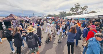 Triumphs and upsets as possible world record set at Narooma Oyster Festival