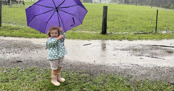 Warnings of severe thunderstorms, possible flash flooding for parts of NSW this evening