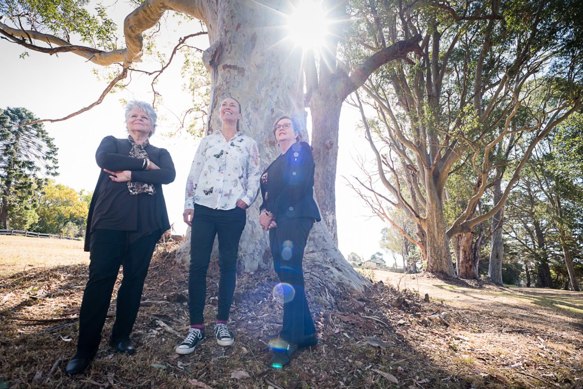 three women standing under a tree