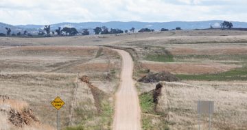 Snowy Monaro Council proposes to abandon maintenance of 'low traffic' roads