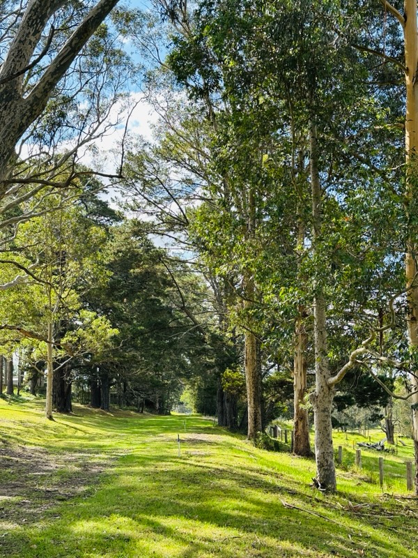 bushland on a farm