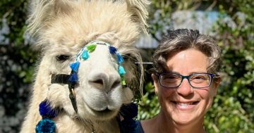 How the memory of a young man lives on ... through love and llamas