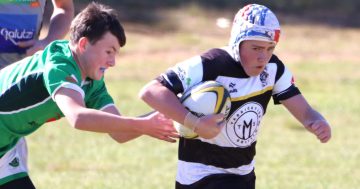 Yass junior rugby club tries for a world-first with potentially life-saving jerseys