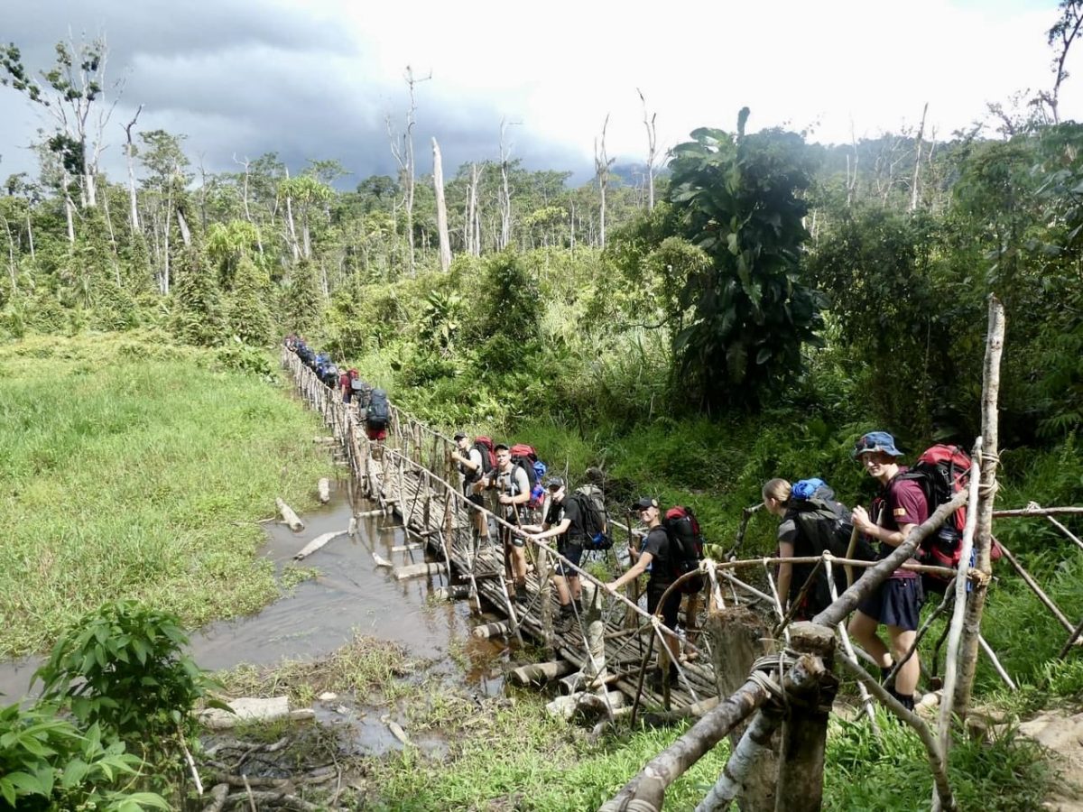 people trekking through a jungle track