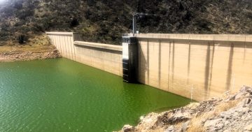 EPA reports back on health of Tantangara Dam after reports of fish kills and blue-green algae