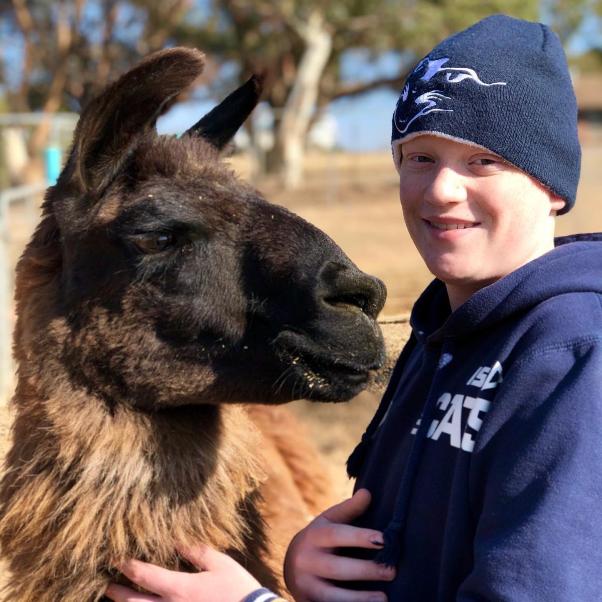 Boy in beanie with llama