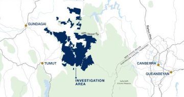 Tumut's Bondo State Forest makes Forestry Corporation's shortlist as potential wind farm site