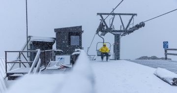 Snow season starts for another year with little snow but keen crowds