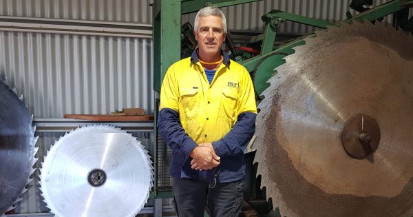 Trainee saw doctors savour a rare insight into Tumut's cutting-edge timber mill