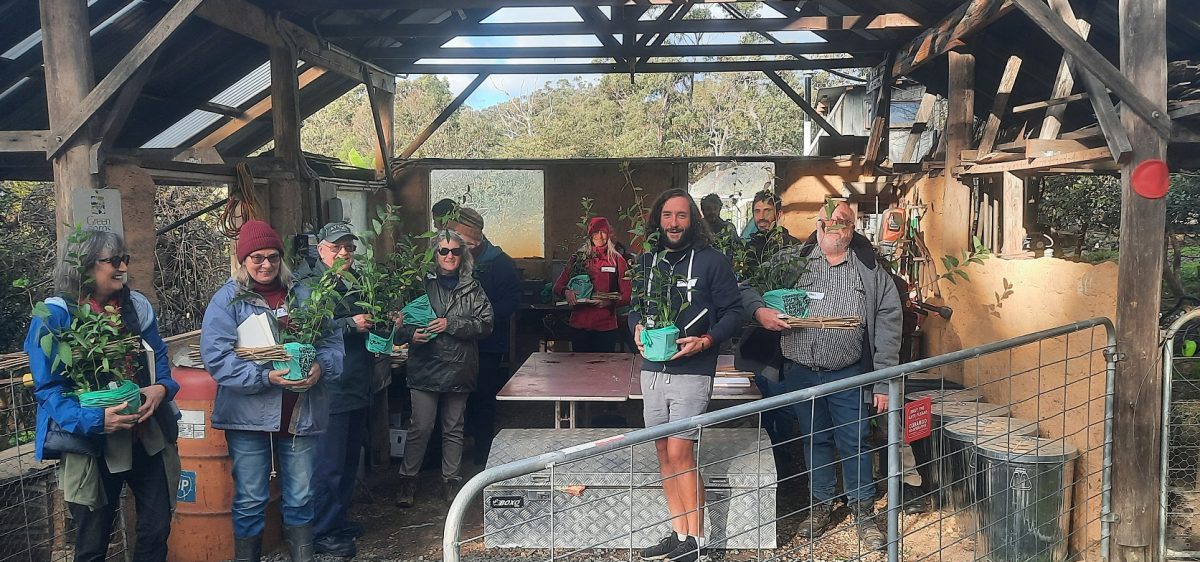 group of people holding trees in pots