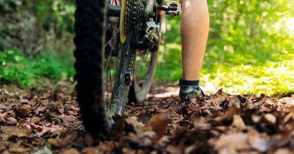 Calls for more biking infrastructure to give South Coast town a new drawcard