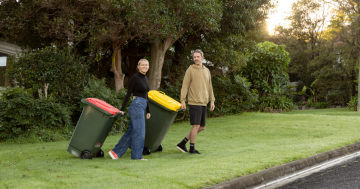 Bin collection and waste services sized up as council plans for 'best possible service' in review