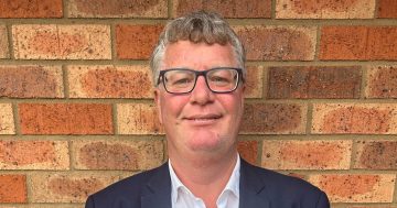 New mayor, Gil Kelly, assures Cootamundra-Gundagai Council it's 'business as usual' amid demerger uncertainty