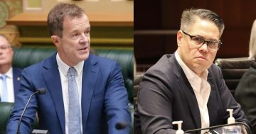 Wagga MP calls Opposition Leader ‘brumby killer’ as Coalition splits on culling of wild horses