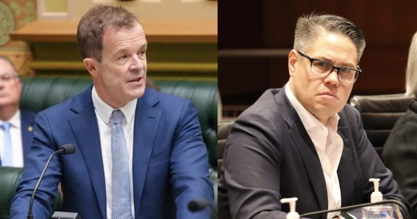 Nationals MLC slams Liberal leader's decision on brumbies