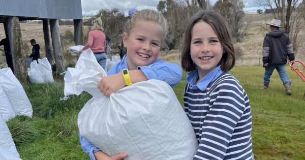 When it comes to fundraising, Gunning locals strike gold ... with sheep manure