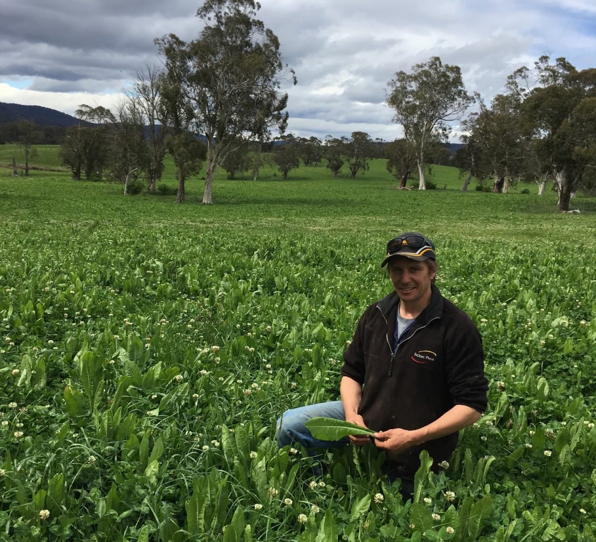 John Jeffreys is a fifth-generation farmer and a board member of Monaro Farming Systems. 