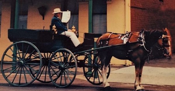 The boy who bolted from Springfield and raced in Sydney