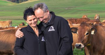 The passion and philosophy driving Tilba Dairy