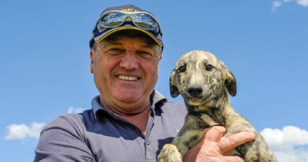 Greyhound racing honours memory of celebrated Hilltops breeder Paul Wheeler