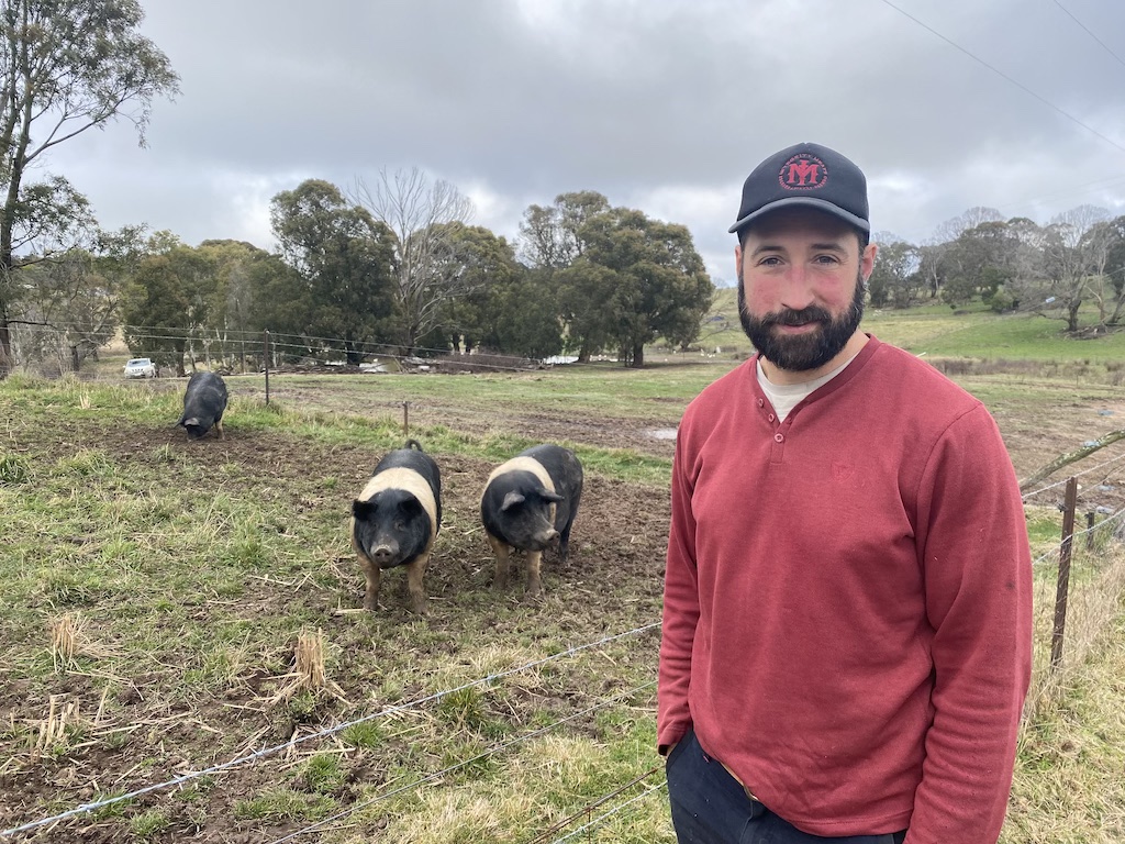 man on his pig farm