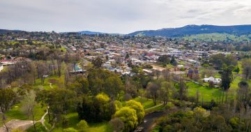 Tumut's streets to come alive with a new festival celebrating spring