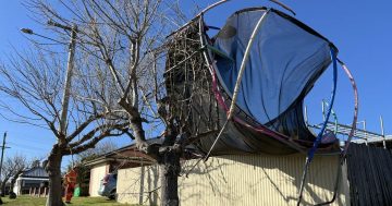 'Horrendous' winds on Far South Coast reignite weeks-old pile burns