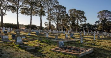 Snowy Monaro cemetery set for multi-year expansion to meet future demand