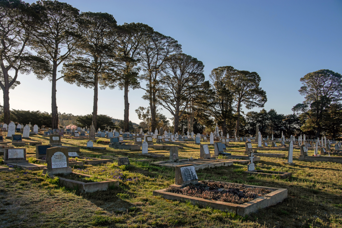 A photograph of Cooma Cemetery