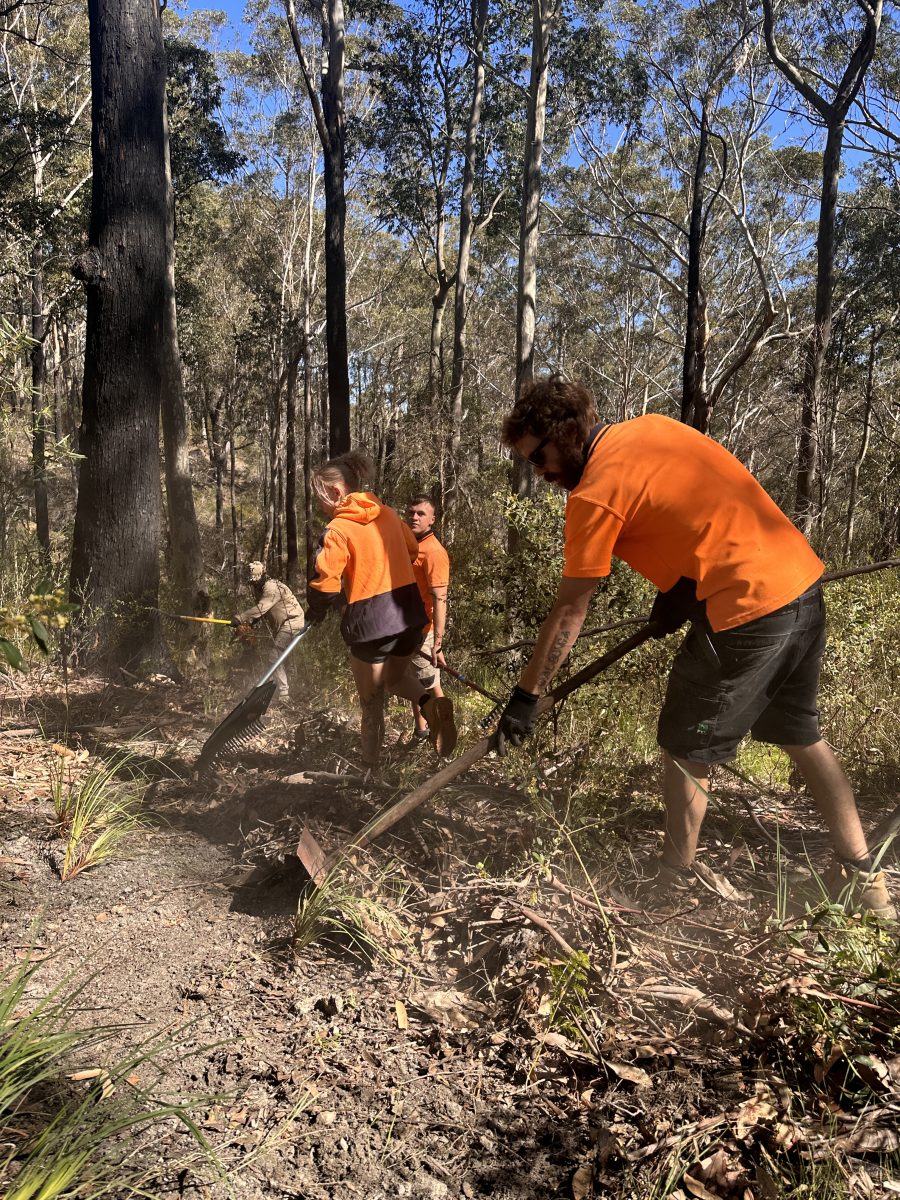 People working in bushland