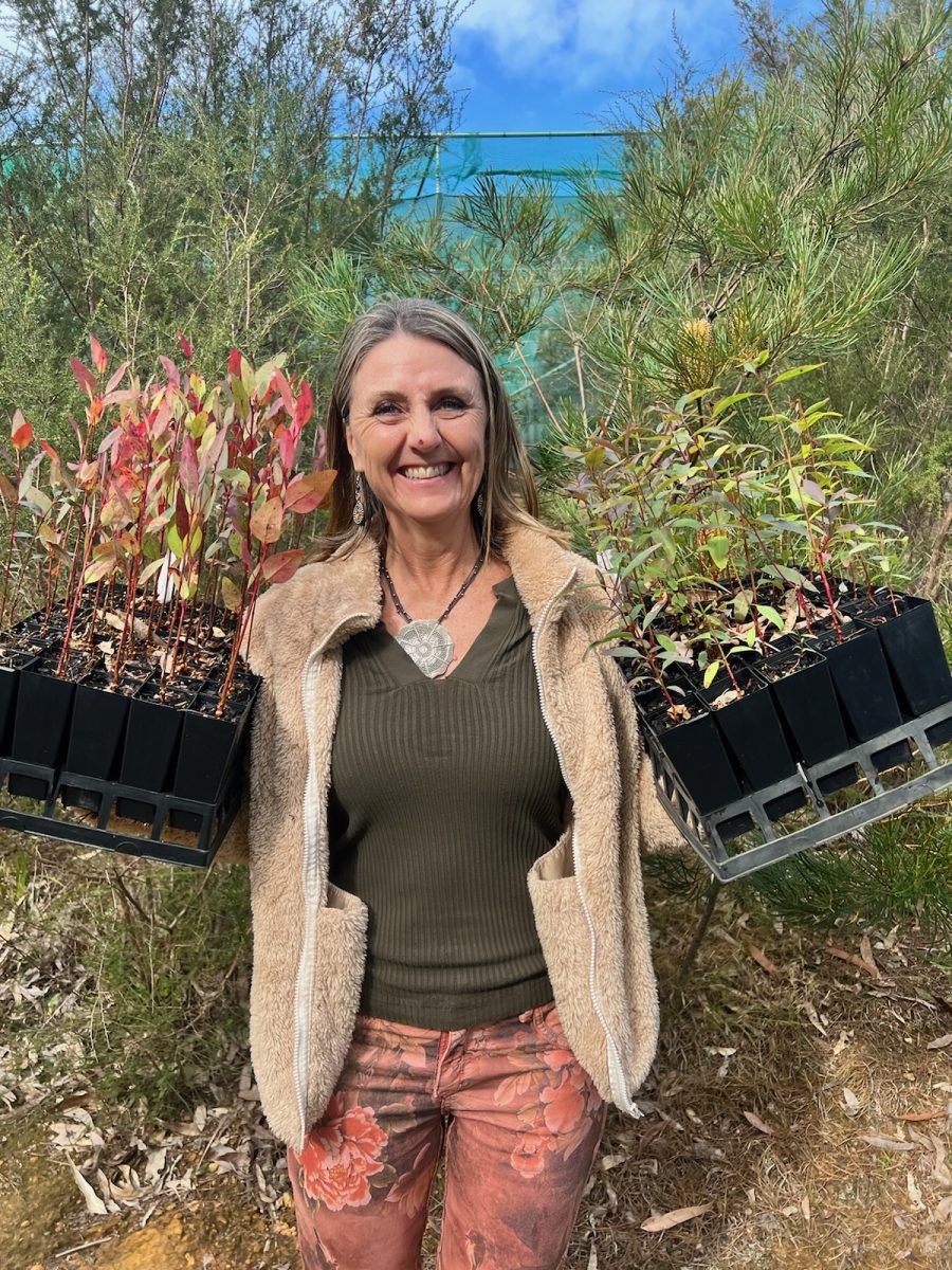 woman holding trays of baby gum trees