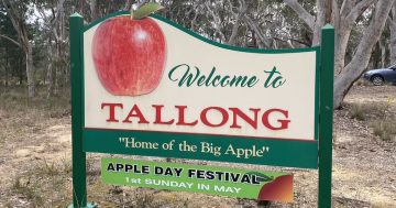 The man who made Tallong The Land of the Big Apple