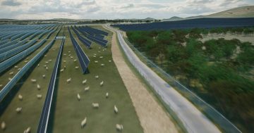 In the public interest: Residents lose appeal against Wallaroo Solar Farm approval