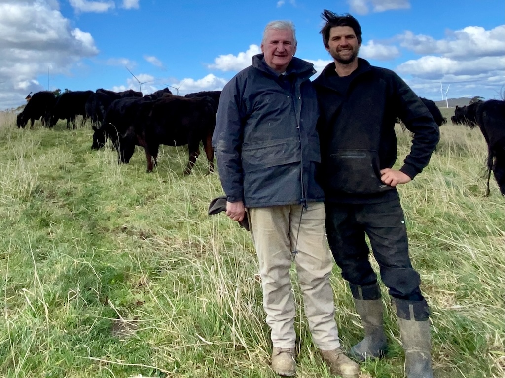 father and son with cattle