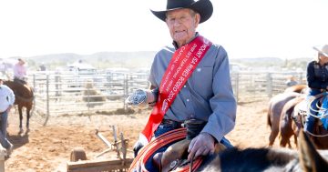 World's oldest competing cowboy from Cootamundra, with the buckle to prove it