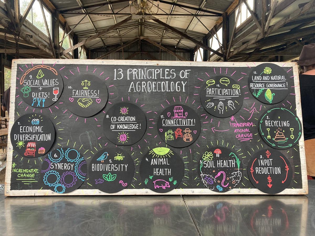 Blackboard with 13 Principles of Agroecology written on it with different graphics.