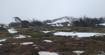 Missing plane lost over 'very rugged terrain' as search continues into third day
