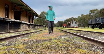 Could rail trails pave the way to a booming visitor economy in the Riverina and Snowy Valleys?