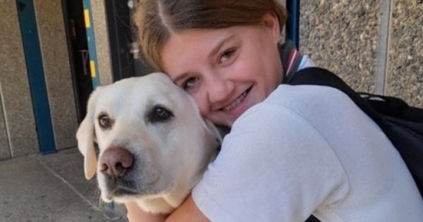 Who’s a good boy? Kiama’s paw-some therapy dog Miss Ollie wins national top dog honour