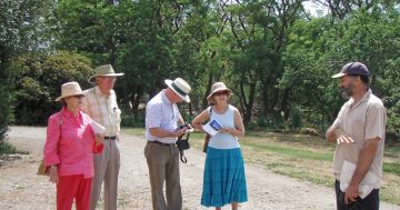 Fascinating deep dive into how the Macarthurs stored precious grain at Richlands