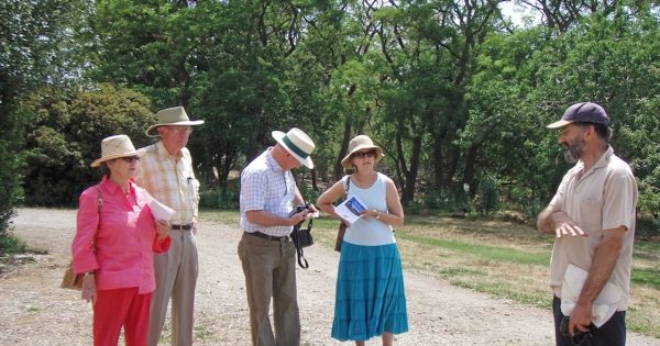 Fascinating deep dive into how the Macarthurs stored precious grain at Richlands