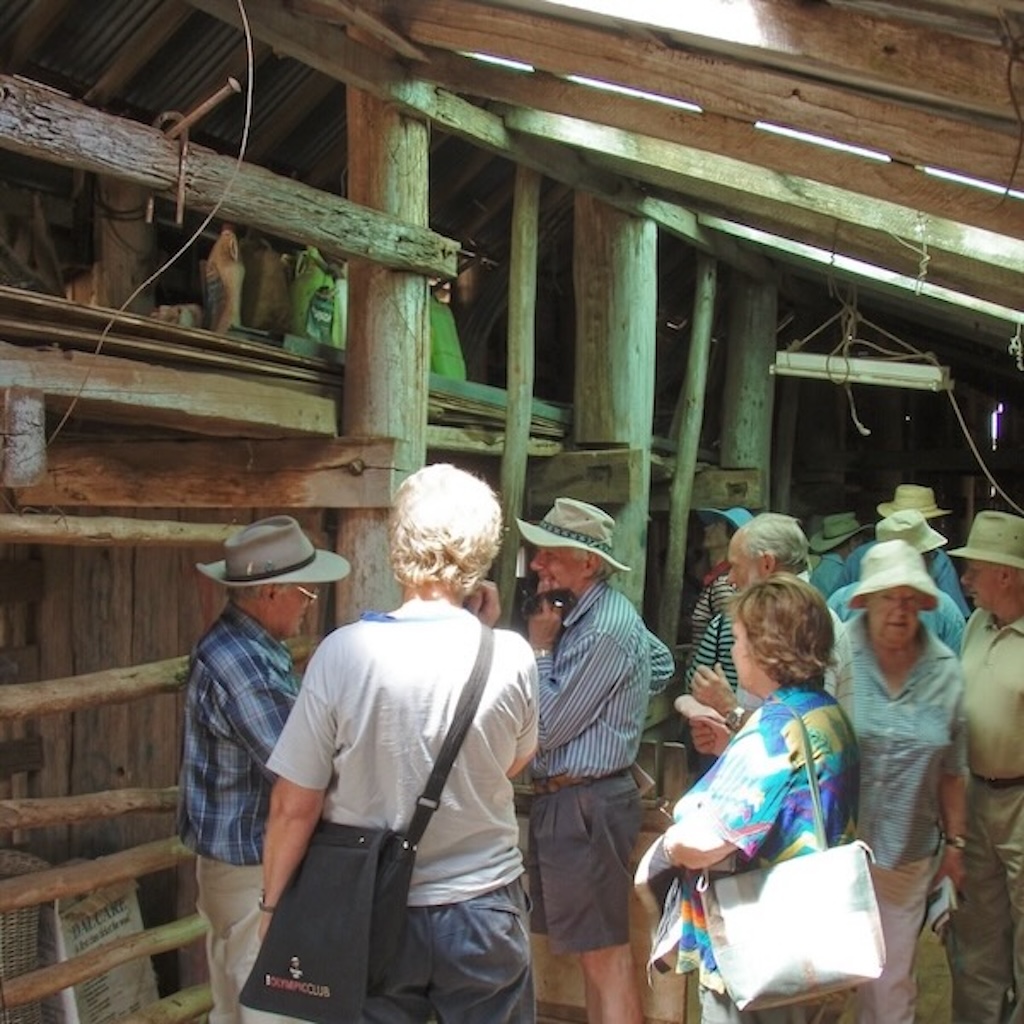 group of people inspecting an old property