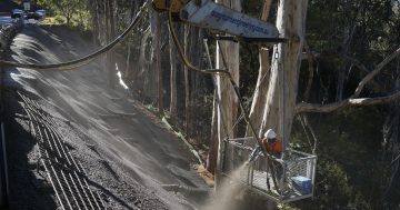 Repairs start this month to two more landslip sites on Brown Mountain