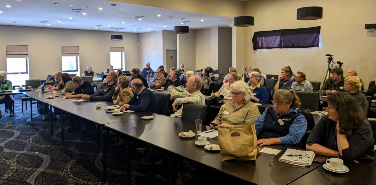 people sitting at a seminar