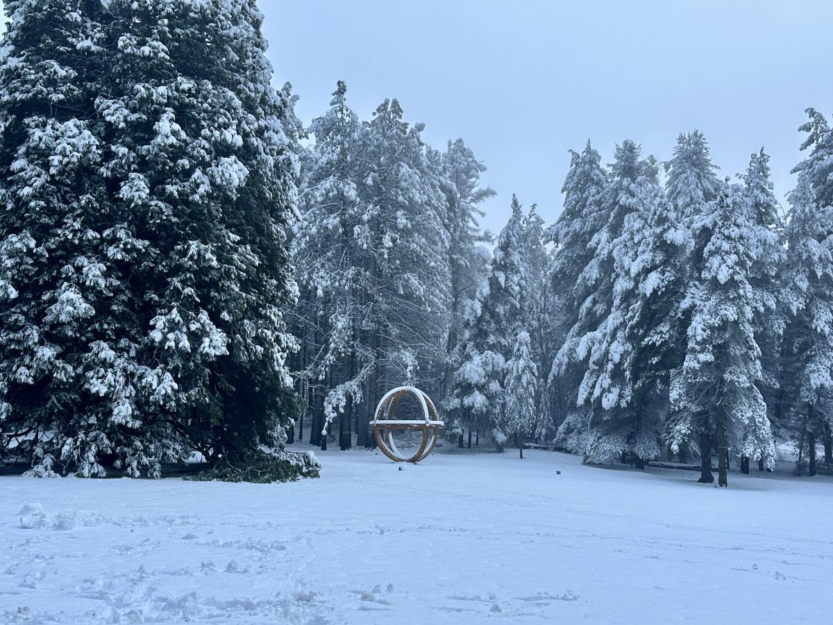 sculpture surrounded by snow-covered trees