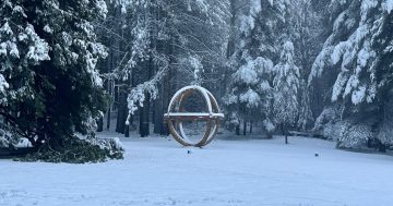 Stunning sculpture show in the snow captured as photography contest highlights local talent