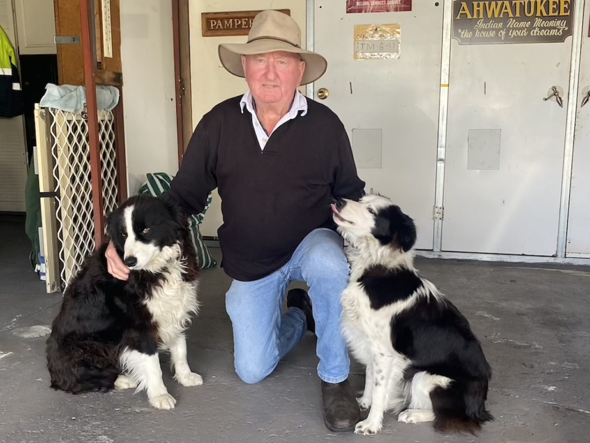 Trevor Mills with his two impeccably behaved Border collies Mill and Slim.